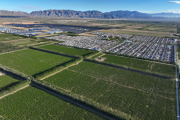 image001.jpg image001.jpg