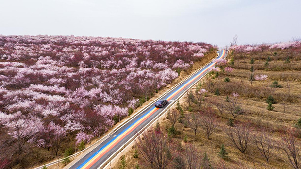 image009.png image009.png