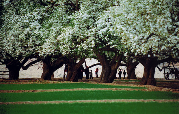 image011.jpg image011.jpg