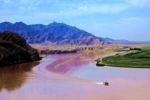 image005.jpg image005.jpg