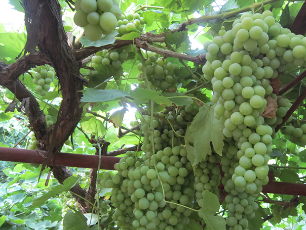 image070.jpg image070.jpg