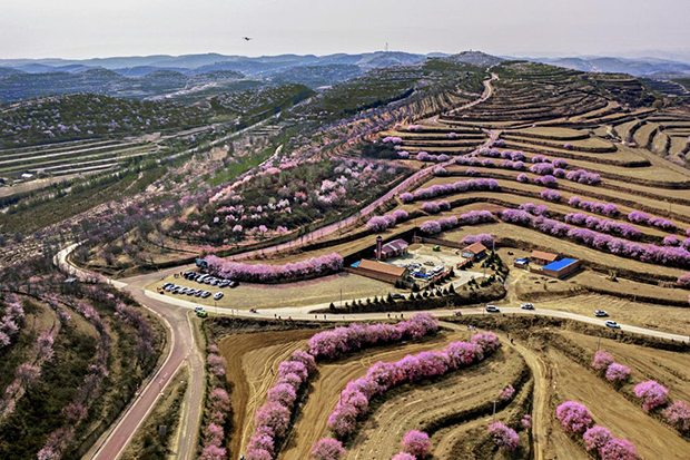 image001.jpg image001.jpg