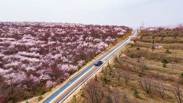 image003.jpg image003.jpg