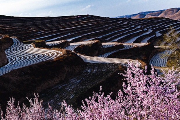 image007.jpg image007.jpg