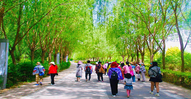 image009.jpg image009.jpg