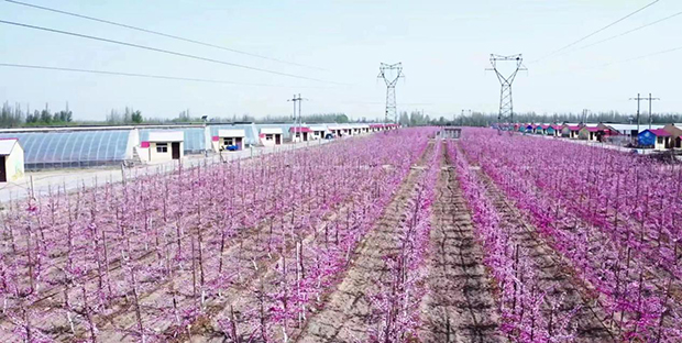 image011.jpg image011.jpg