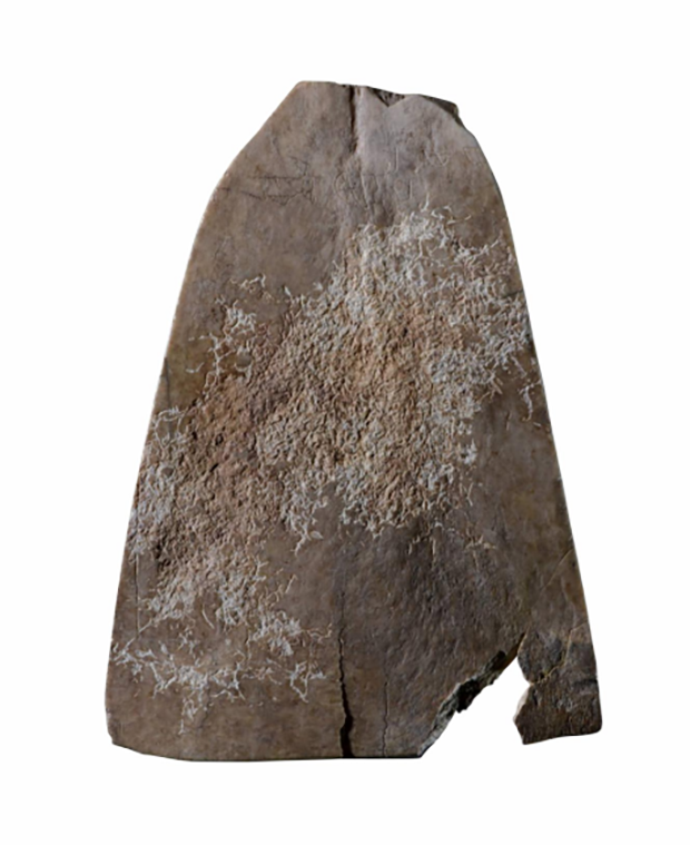 image009.png image009.png