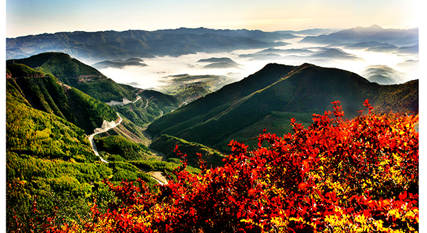 image005.jpg image005.jpg