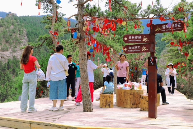 Honeyview_image013.jpg Honeyview_image013.jpg