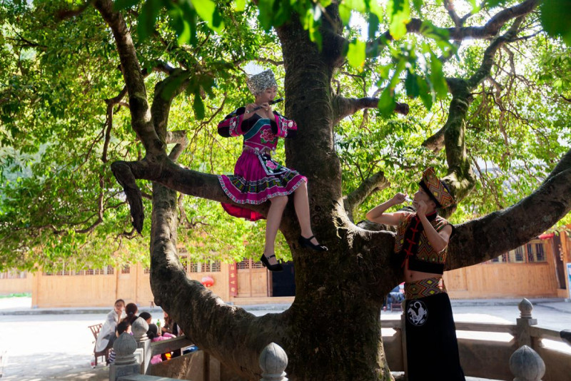 image009 (2).jpg image009 (2).jpg