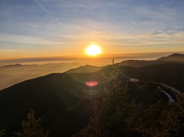 image011 (2).jpg image011 (2).jpg