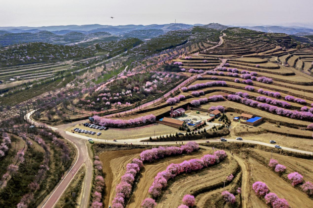 image003 (2).jpg image003 (2).jpg