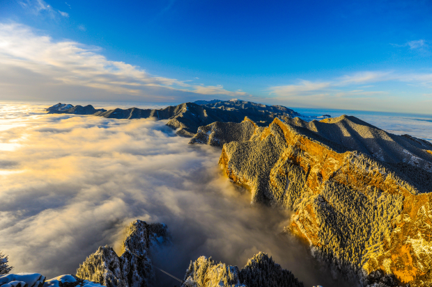 image003 (2).jpg image003 (2).jpg