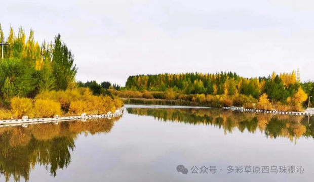 640 (25).jpg 640 (25).jpg