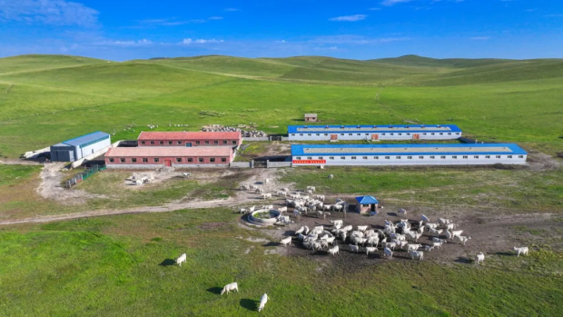 640 (3).jpg 640 (3).jpg